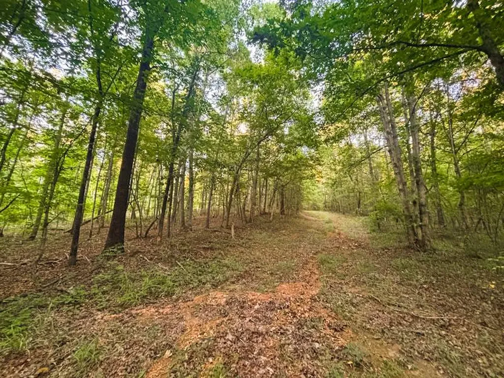 930 County Road 303 Florence AL 35634