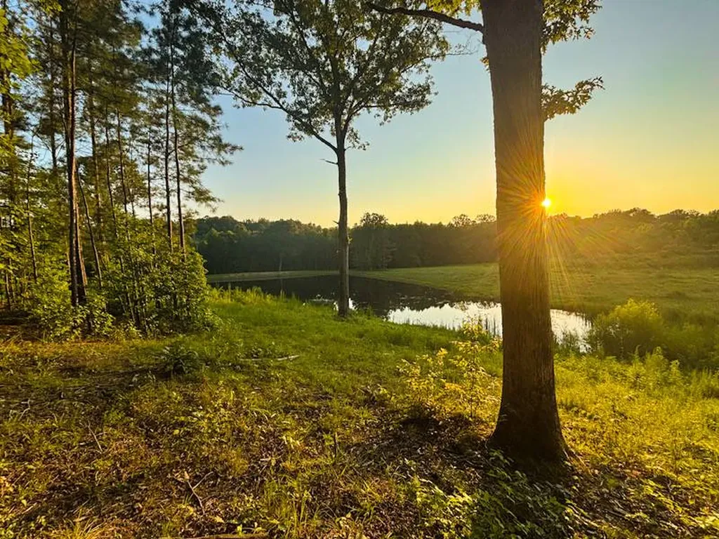 930 County Road 303 Florence AL 35634