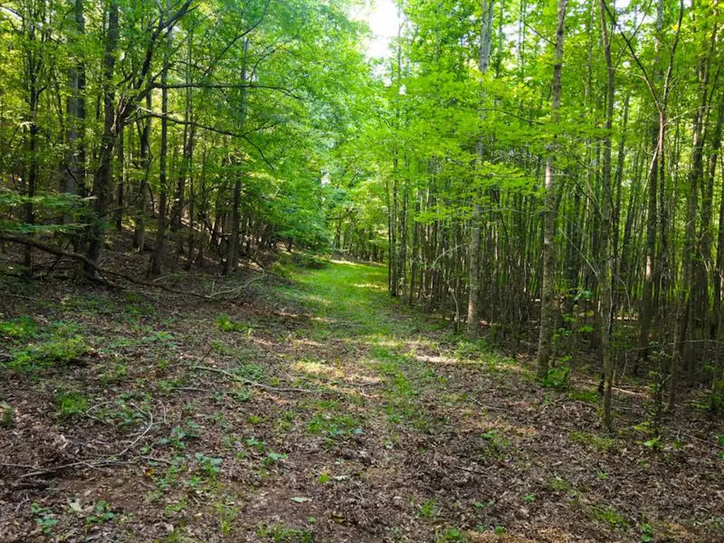 930 County Road 303 Florence AL 35634
