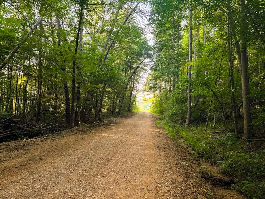930 County Road 303 Florence AL 35634