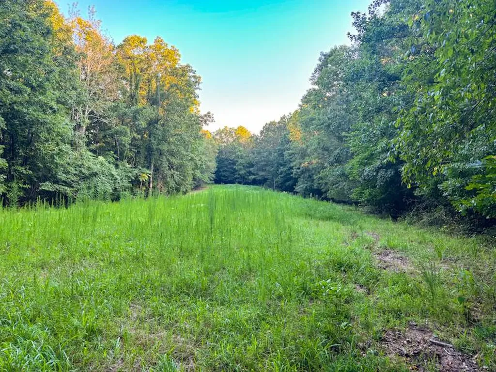 930 County Road 303 Florence AL 35634