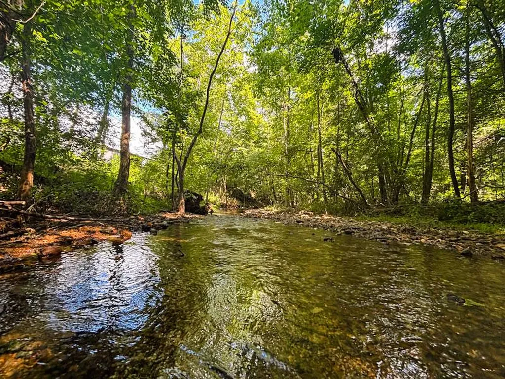930 County Road 303 Florence AL 35634