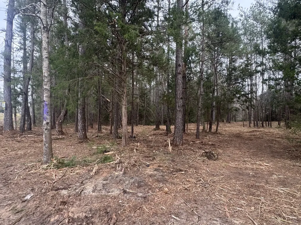 00 County Road 134 Daleville AL 36322