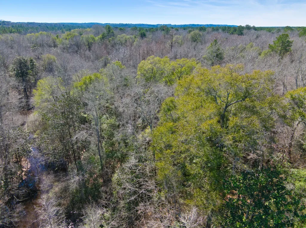 00 County Road 134 Daleville AL 36322