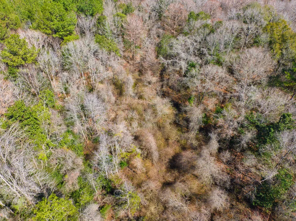 00 County Road 134 Daleville AL 36322