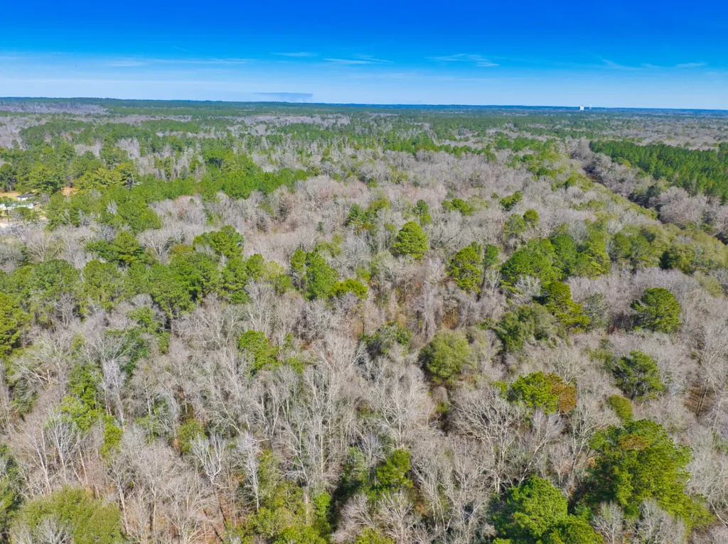 00 County Road 134 Daleville AL 36322