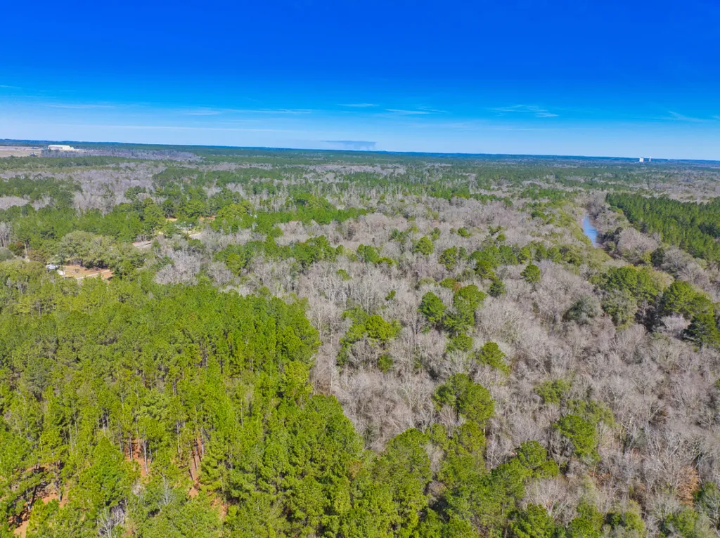 00 County Road 134 Daleville AL 36322