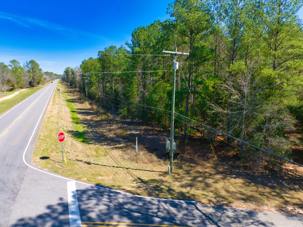 00 County Road 134 Daleville AL 36322