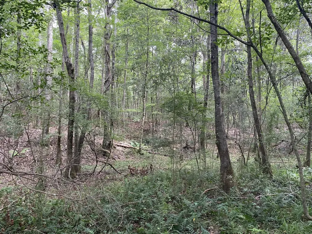 00 County Road 134 Daleville AL 36322