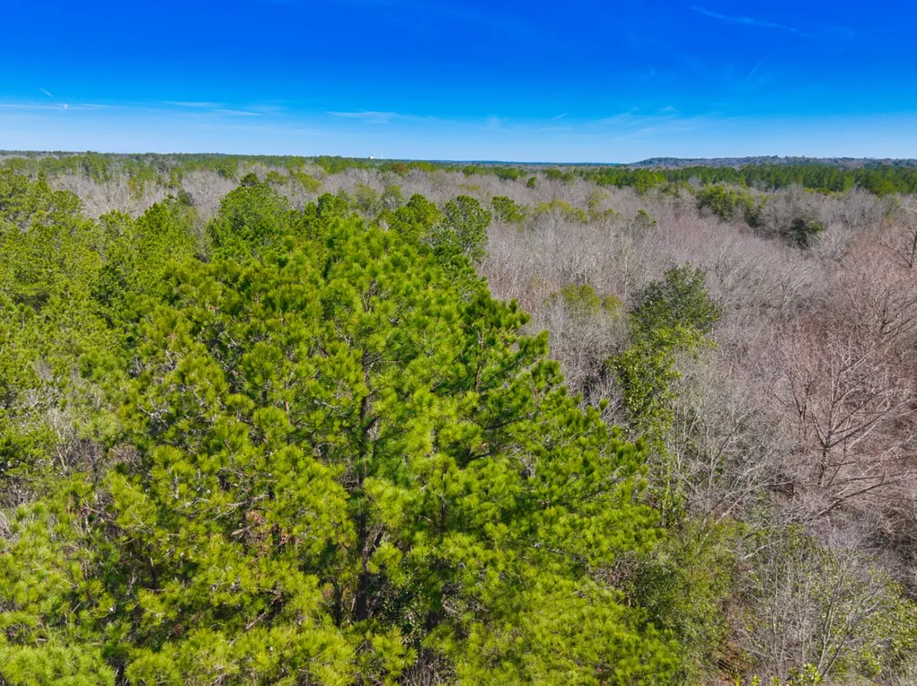 00 County Road 134 Daleville AL 36322