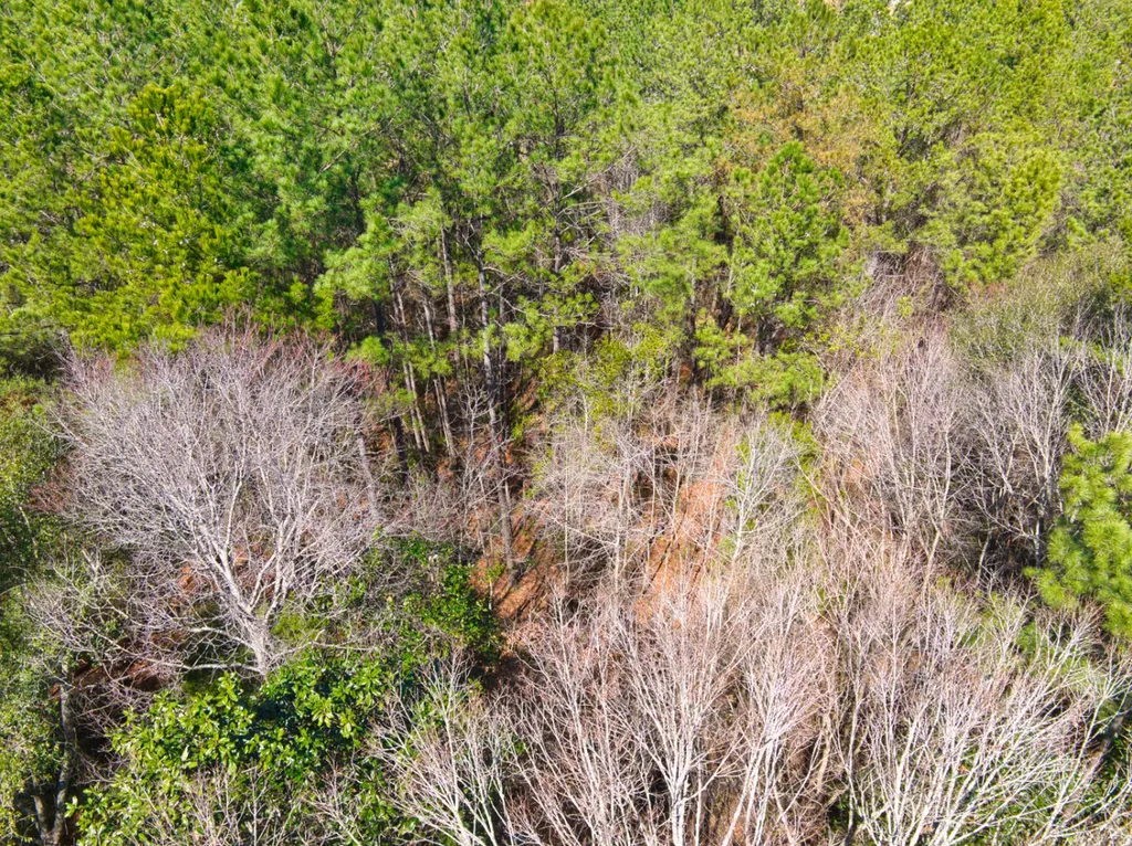 00 County Road 134 Daleville AL 36322