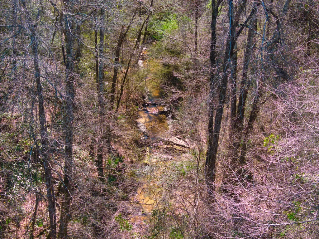 00 County Road 134 Daleville AL 36322