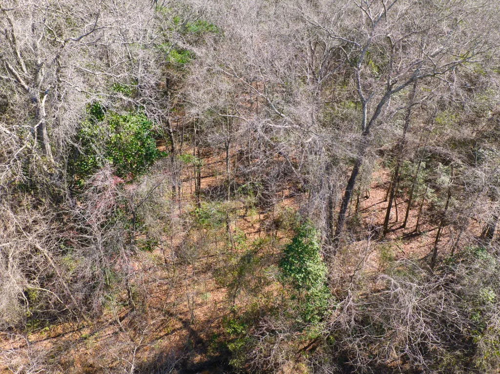 00 County Road 134 Daleville AL 36322