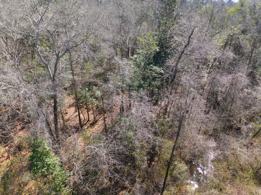 00 County Road 134 Daleville AL 36322