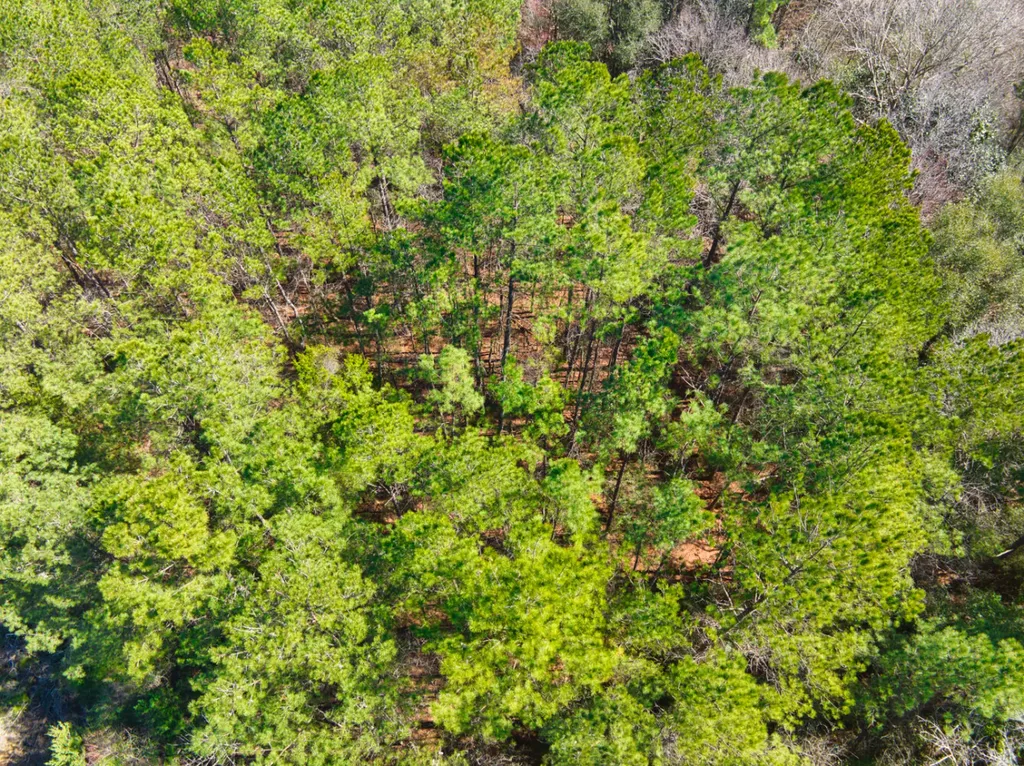 00 County Road 134 Daleville AL 36322