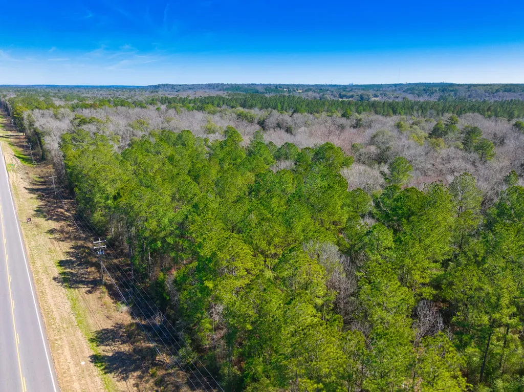 00 County Road 134 Daleville AL 36322