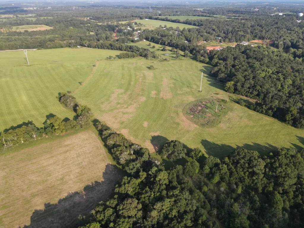 0 St Highway 123 Newton AL 36352