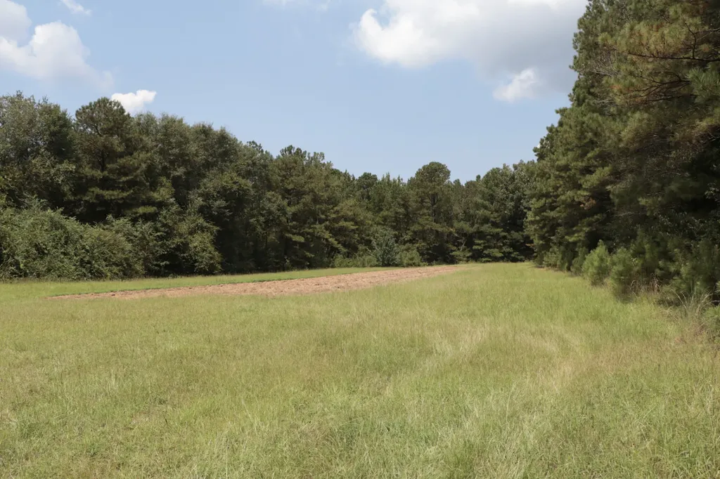 0 County Road 350 Clanton AL 35045