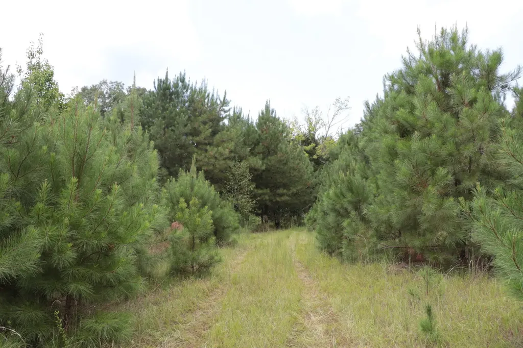 0 County Road 350 Clanton AL 35045