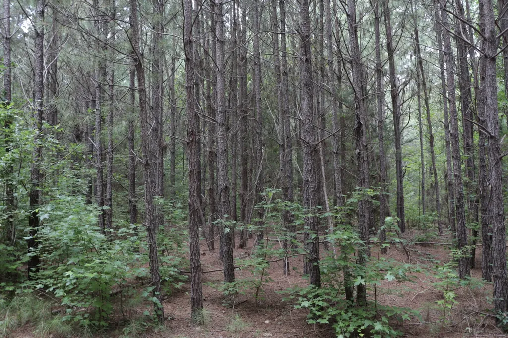 0 County Road 350 Clanton AL 35045