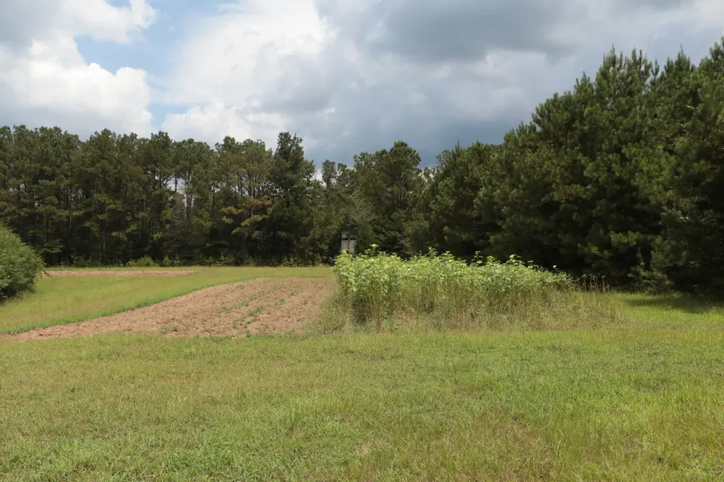 0 County Road 350 Clanton AL 35045