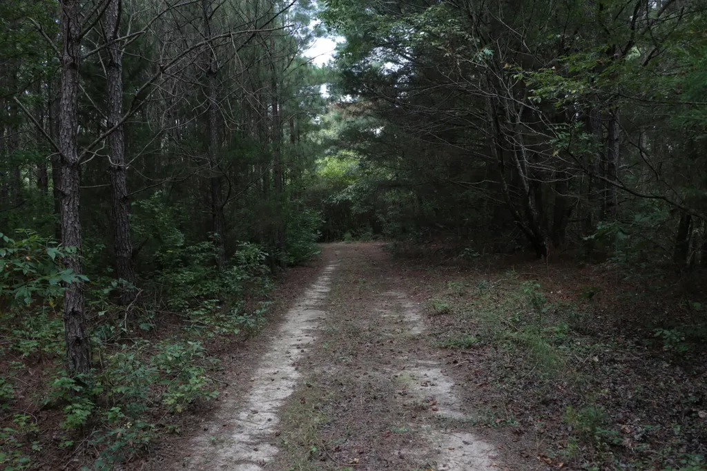 0 County Road 350 Clanton AL 35045