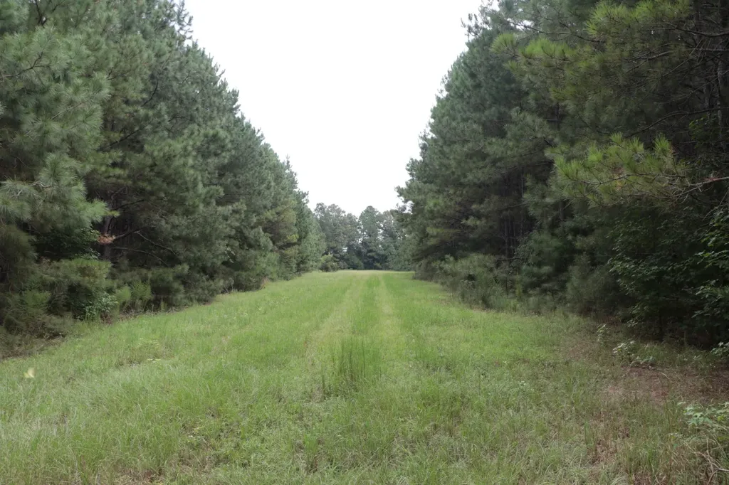 0 County Road 350 Clanton AL 35045