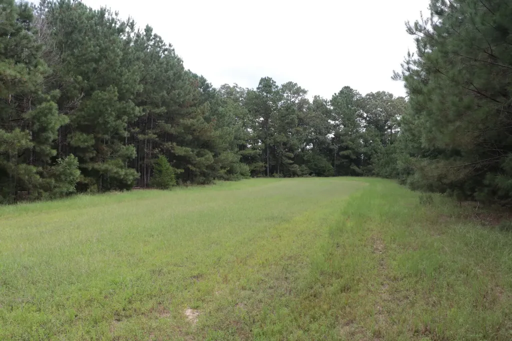 0 County Road 350 Clanton AL 35045