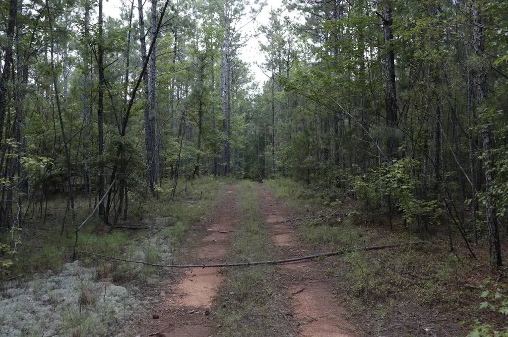 0 County Road 350 Clanton AL 35045