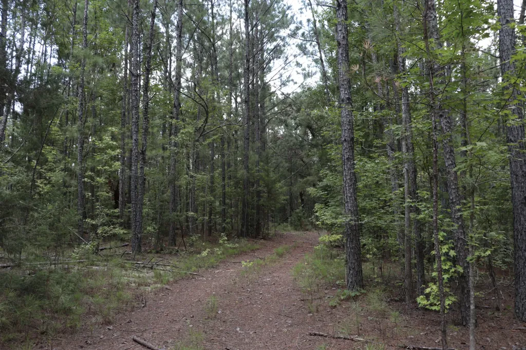 0 County Road 350 Clanton AL 35045