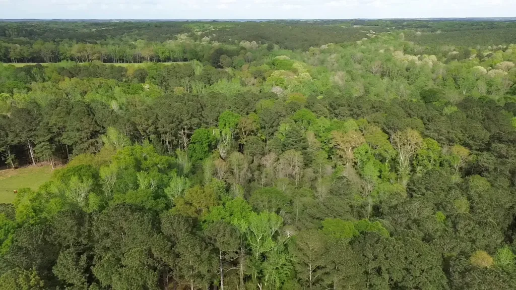 5530 County Road 33 Ozark AL 36360