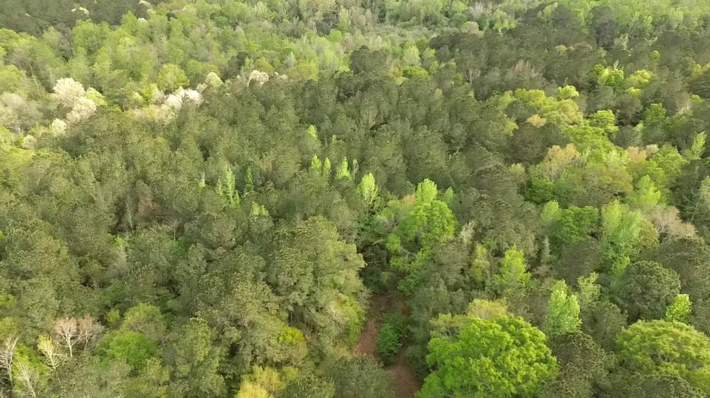 5530 County Road 33 Ozark AL 36360