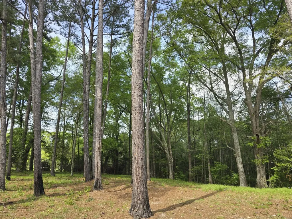 5530 County Road 33 Ozark AL 36360