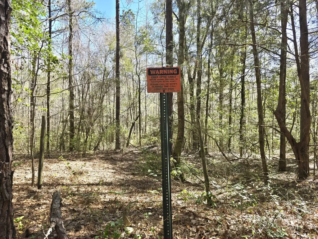 5530 County Road 33 Ozark AL 36360