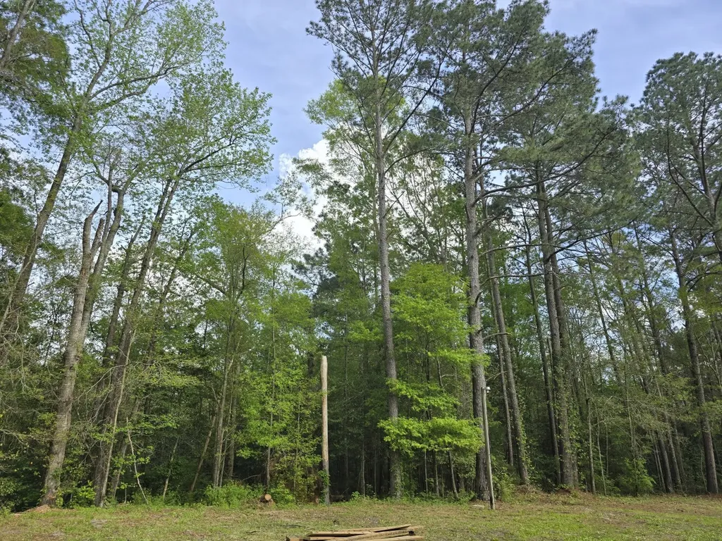 5530 County Road 33 Ozark AL 36360