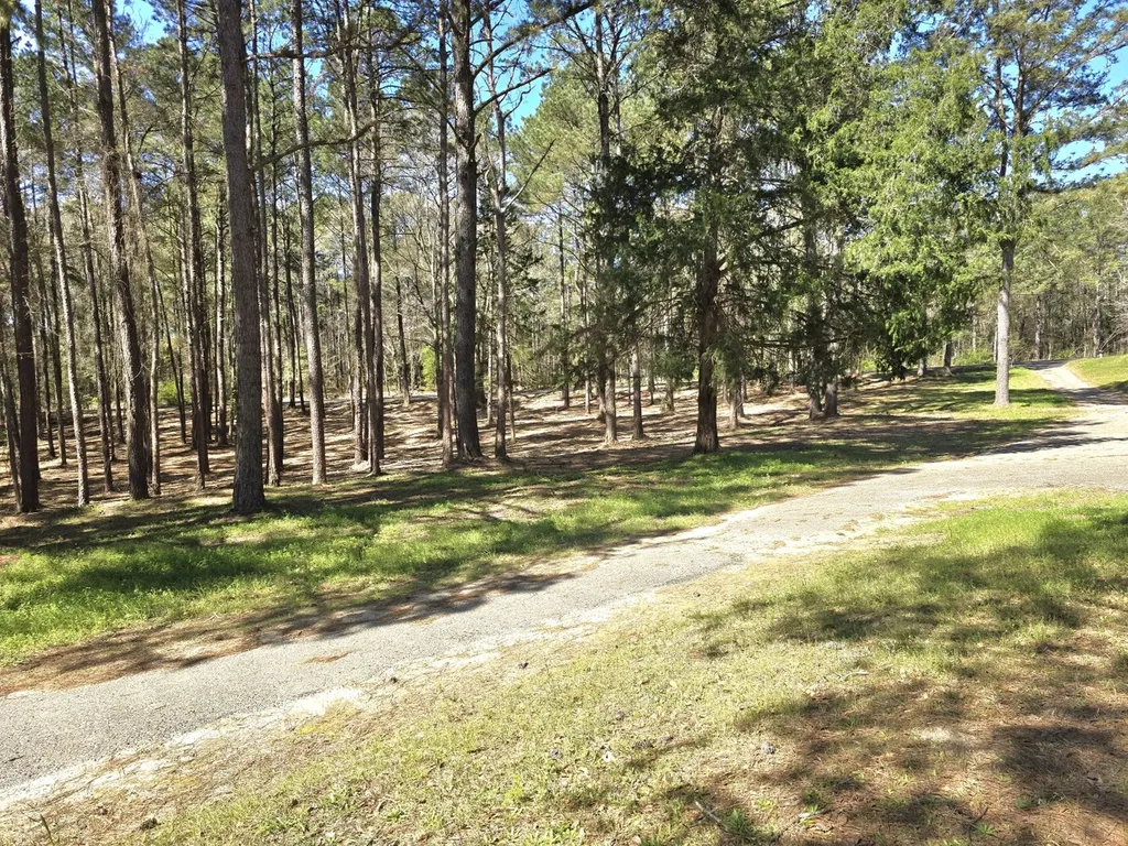 5530 County Road 33 Ozark AL 36360