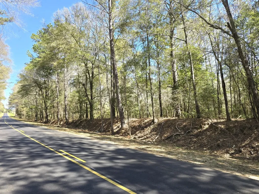 5530 County Road 33 Ozark AL 36360