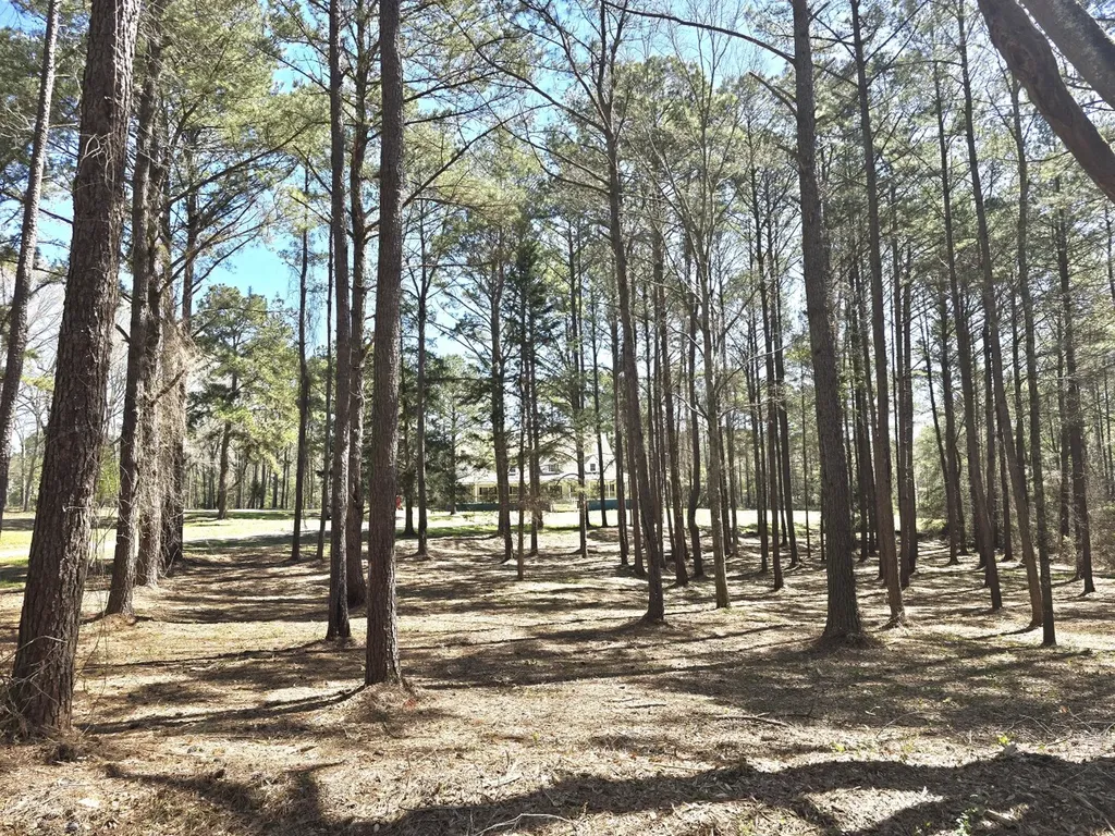 5530 County Road 33 Ozark AL 36360