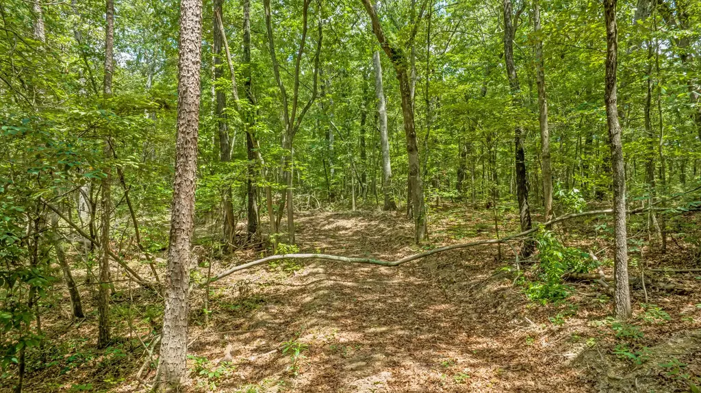 0 Smith Gap Road Fort Payne AL 35968
