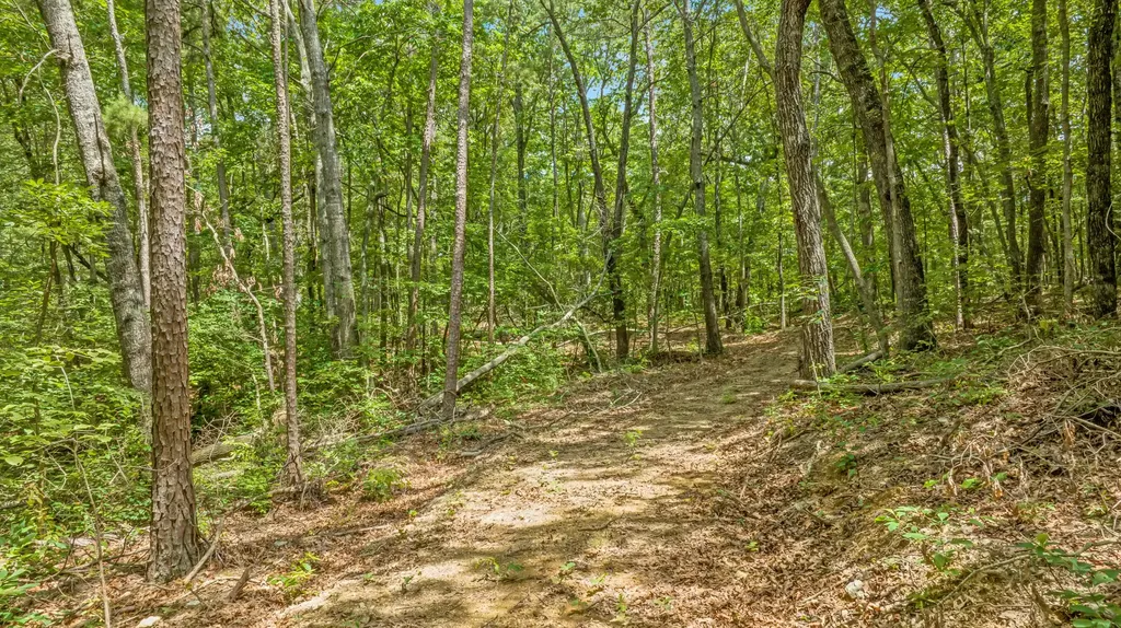 0 Smith Gap Road Fort Payne AL 35968