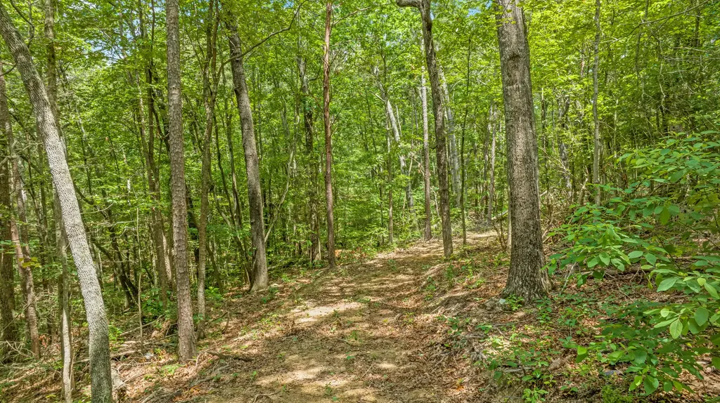 0 Smith Gap Road Fort Payne AL 35968