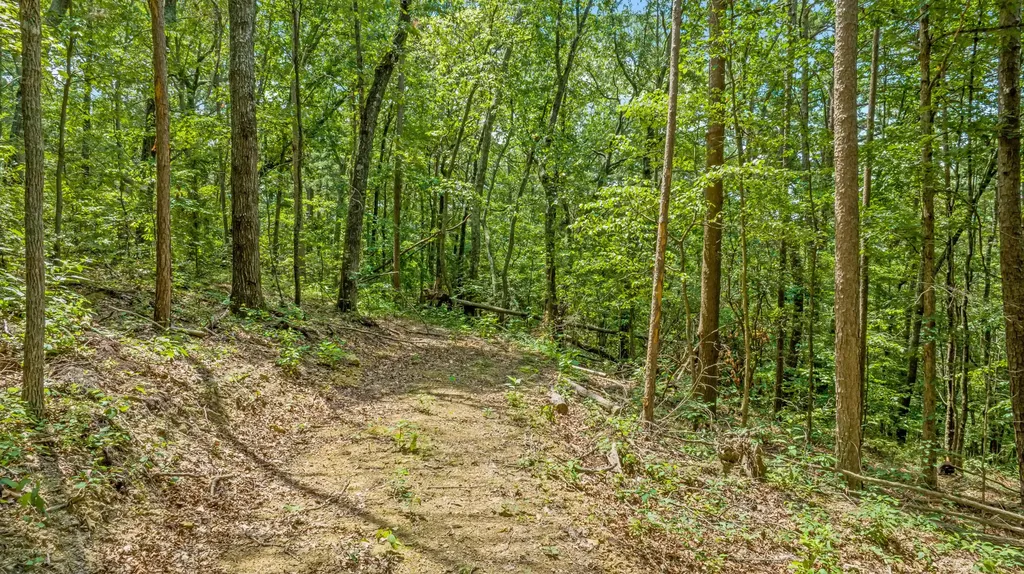 0 Smith Gap Road Fort Payne AL 35968