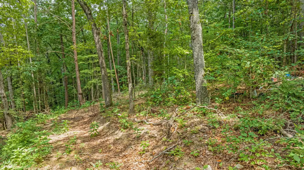 0 Smith Gap Road Fort Payne AL 35968