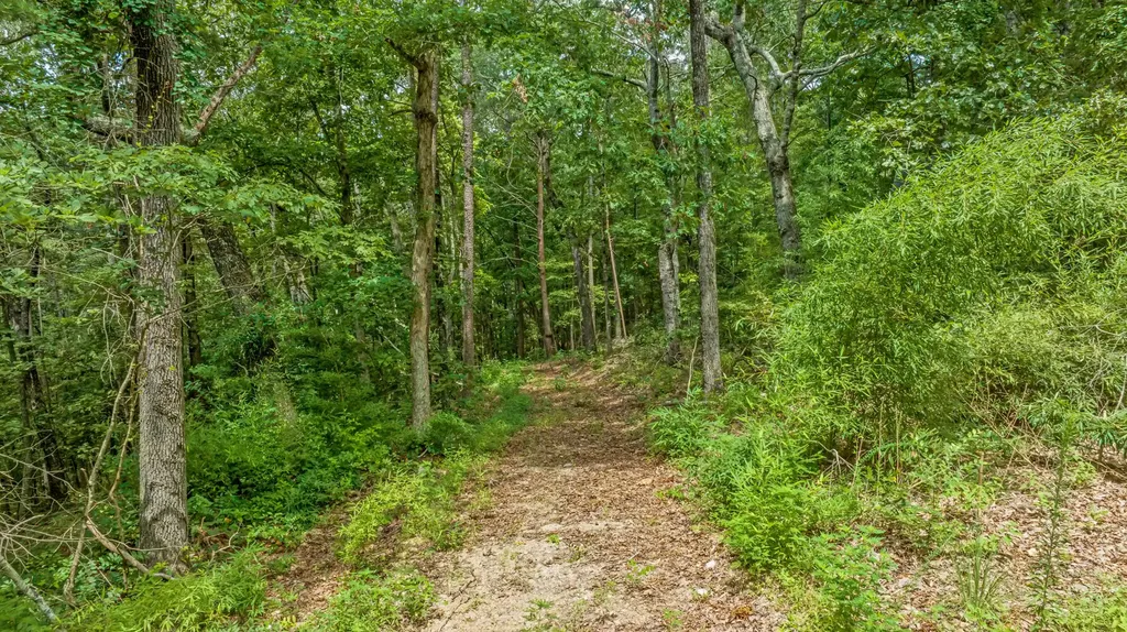 0 Smith Gap Road Fort Payne AL 35968