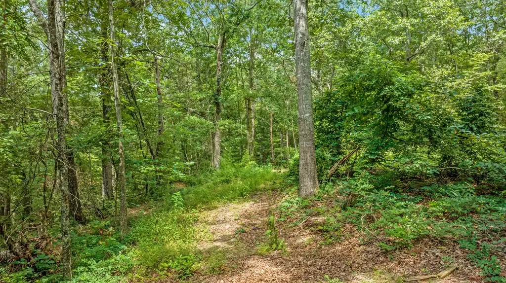 0 Smith Gap Road Fort Payne AL 35968
