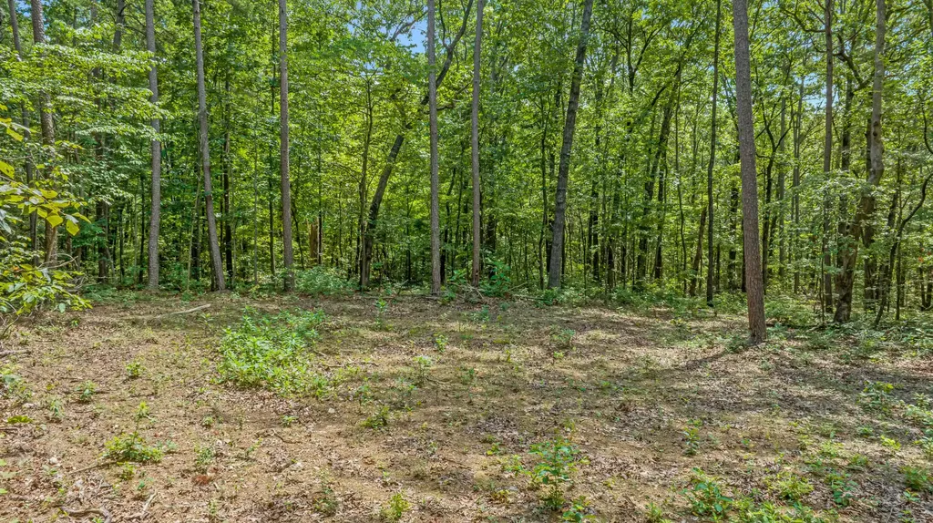 0 Smith Gap Road Fort Payne AL 35968