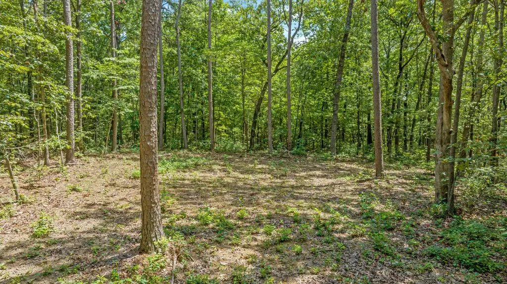 0 Smith Gap Road Fort Payne AL 35968