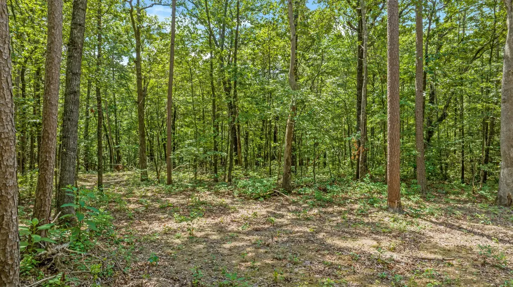 0 Smith Gap Road Fort Payne AL 35968