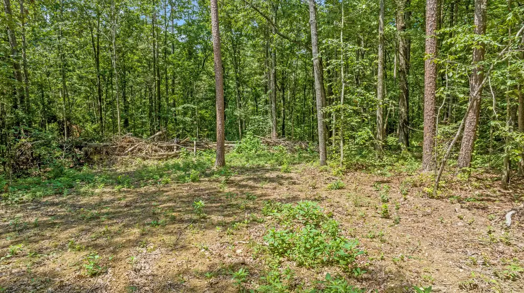 0 Smith Gap Road Fort Payne AL 35968