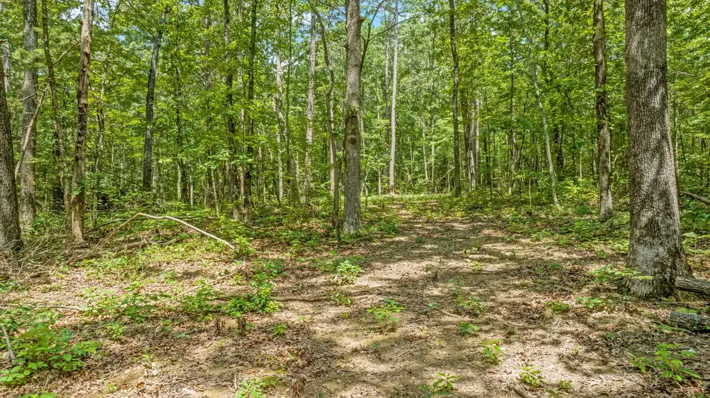 0 Smith Gap Road Fort Payne AL 35968